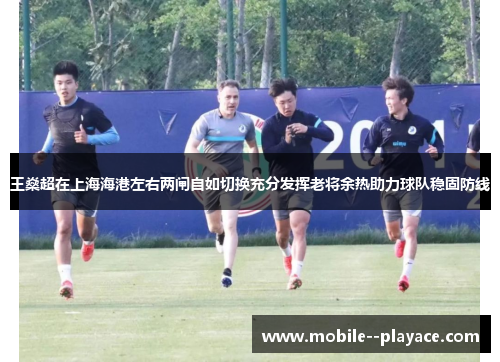 王燊超在上海海港左右两闸自如切换充分发挥老将余热助力球队稳固防线 王燊超在上海海港左右两闸自如切换充分发挥老将余热助力球队稳固防线